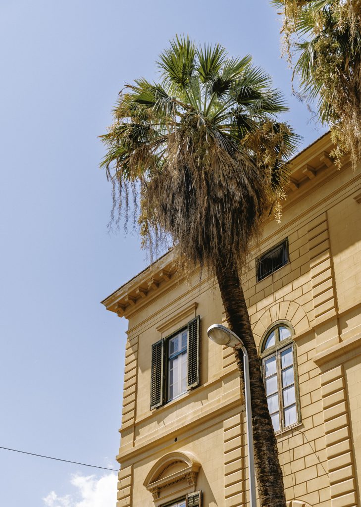Lorenz Steiner - Palermo